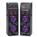 Double 10" Wireless Active Speaker Designed Professionally with Battery and Bluetooth